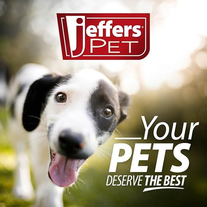 Jeffers Pet Sensitive Skin Unscented Shampoo for Dogs & Cats, 17 oz - Soap Free Cleansing Pet Shampoo for Allergy Prone Skin with Moisturizing Conditioners, Deodorizing Grooming Wash, USA Made
