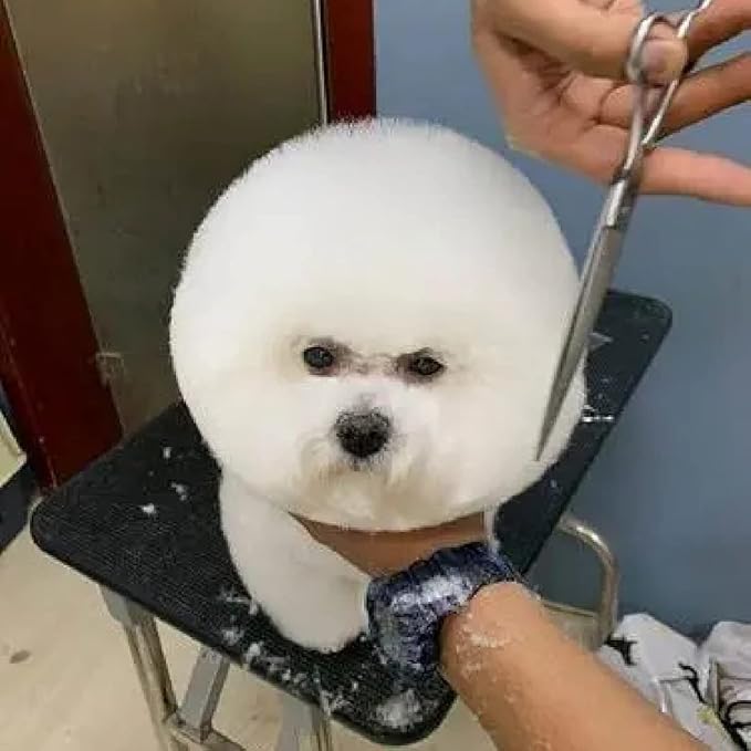 Dog Grooming Scissors, Stainless Steel Pets Grooming Shears