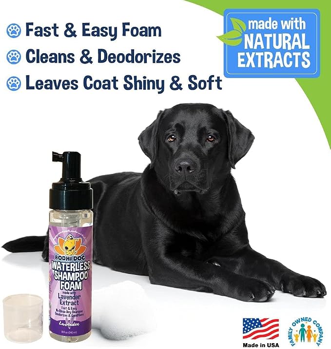 Bodhi Dog Waterless Foam Shampoo - Natural No Rinse Dry Shampoo for Dogs & Cats - Neutralizes Pet Odor - Gentle, Safe for Sensitive Skin - Made in USA - Lavender (8 Fl Oz)