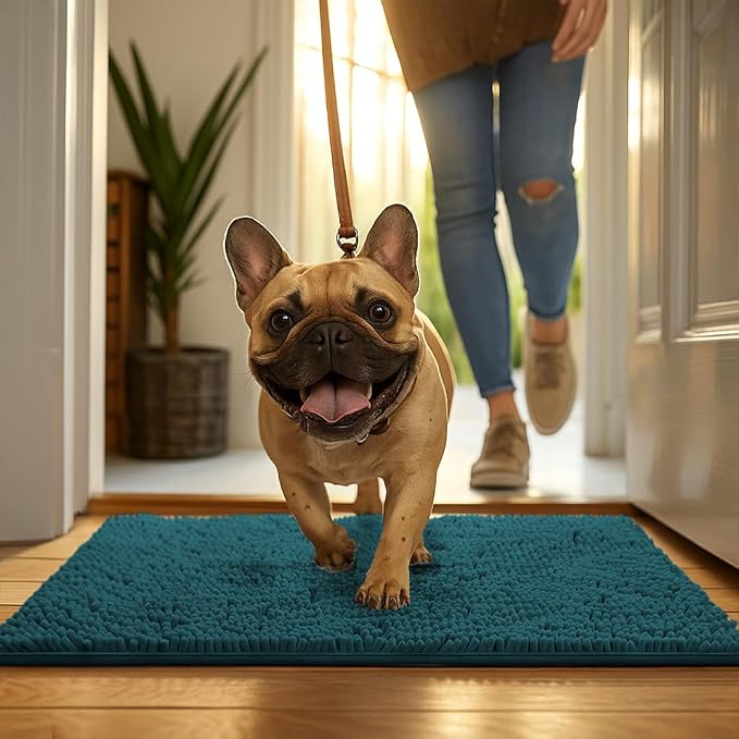 MUDGUARD MAT® Dog Door Mat for Muddy Paws, Super Absorbent Microfiber, Non-Slip Indoor Mat, Quick-Dry Chenille Rug for Pets & Entryway, Machine Washable, Atlantic Blue 19" x 30"