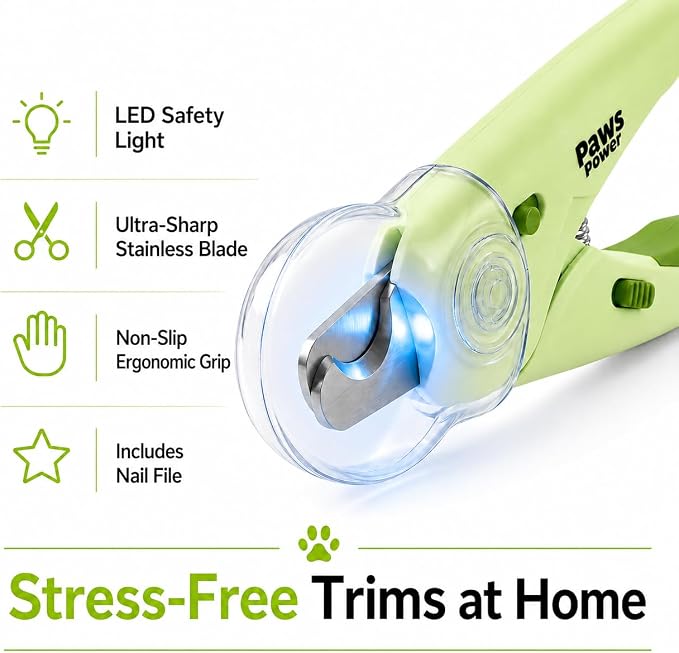 Cat Nail Clipper & Small Dog Nail Clippers with LED Light - Illuminates Nails & Bloodline for Safe, Easy Trimming - Extra Sharp, Avoid Over-Cutting - Essential Cat Supplies, Green