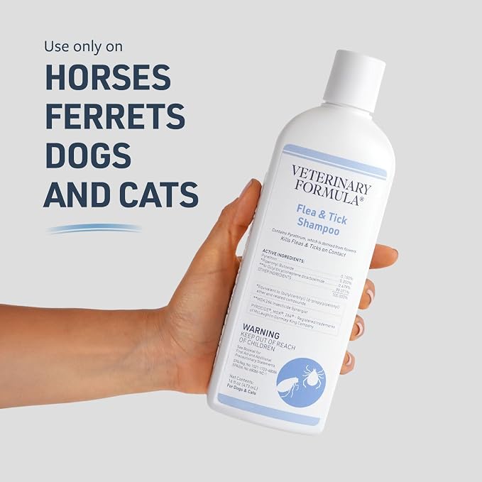 Veterinary Formula Clinical Care Hot Spot & Itch Relief Medicated Shampoo for Dogs and Cats 16oz & Flea and Tick Shampoo for Dogs and Cats, 16 oz
