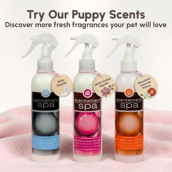 Best Shot Scentament Spa Botanical Body Splash, Detangler Spray, Body Spray for Pets, Cat and Dog Cologne Spray, Mandarin Jasmine Honey, 8 Oz.
