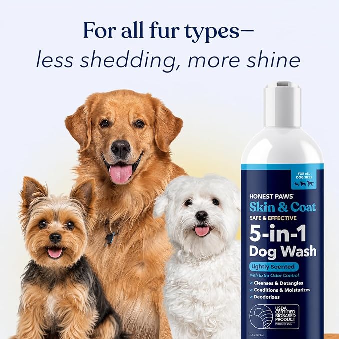 Honest Paws Dog Shampoo and Conditioner - Premium Dog Wash for Allergies Dry, Itchy, Moisturizing for Sensitive Skin - Sulfate Free Plant Based All Natural - Lightly Scented w/Odor Control -16 Fl Oz