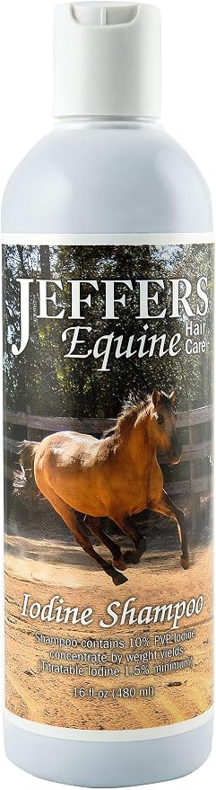 Jeffers Equine Iodine Shampoo for Horses, 16 oz - Deep Cleansing Grooming Soap, Coat & Skin Wash, Mane and Tail Care, Coconut Based Formula, Low Detergent, Barn & Travel Horse Shampoo