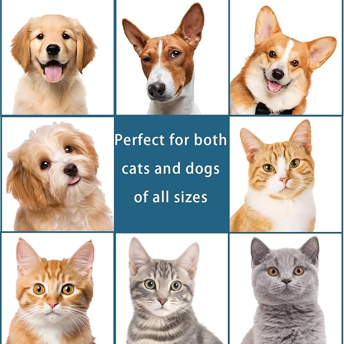 Pet Steam Brush for Dog & Cat – 3-in-1 Spray Hair Removal for Grooming, Softens Fur & Reduces Static 1*Shampoo(Steam Brush not Included)