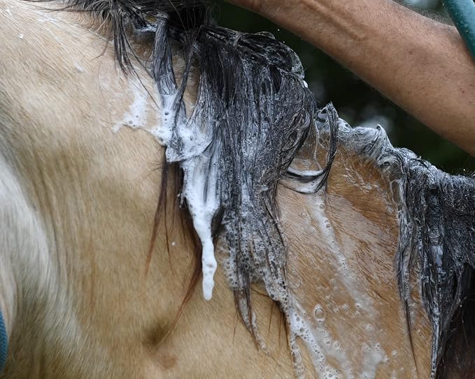 Medicated Shampoo--Soap-Free --Incredible Marine Collagen—Pet skin Yeast Infections, Ringworm, Rain Rot, Horse Scratches, Dermatitis, Itchy Skin