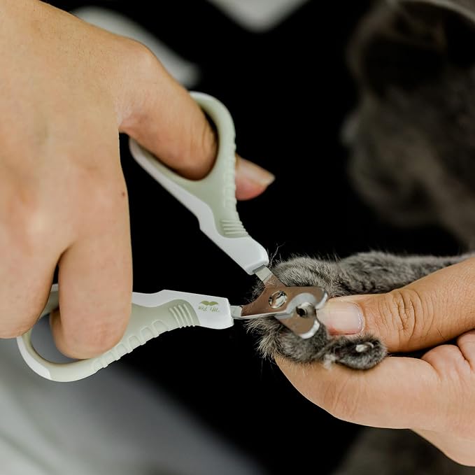 Mr. Pen- Cat Nail Clipper, Stainless Steel | Professional Sharp Cat Claw Trimmer for Small and Medium Cats, Pet Nail Clipper with Sturdy Non Slip Handle