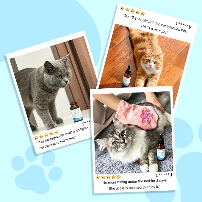 Waterless Cat Shampoo for Pets Who Hate Baths – No-Rinse, Concentrated & Gentle | Pomegranate Scent, Non-Sticky Hydrating Formula | for Steam Brush, Travel-Friendly | 2Pcs, 0.34 oz Each