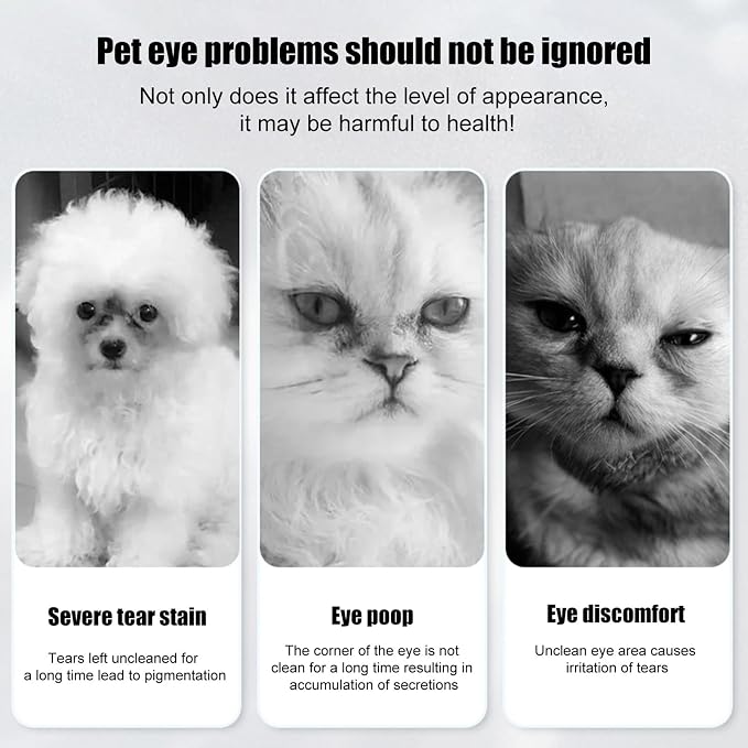 Tear Stain Powder - 60g Formula, Absorbent Care, Gentle Cleaning, Brush Included | Remover for Reducing Eye Marks On Dogs Cats by Absorbing Moisture, Keeping Facial Dry, Neat Appearance, Daily