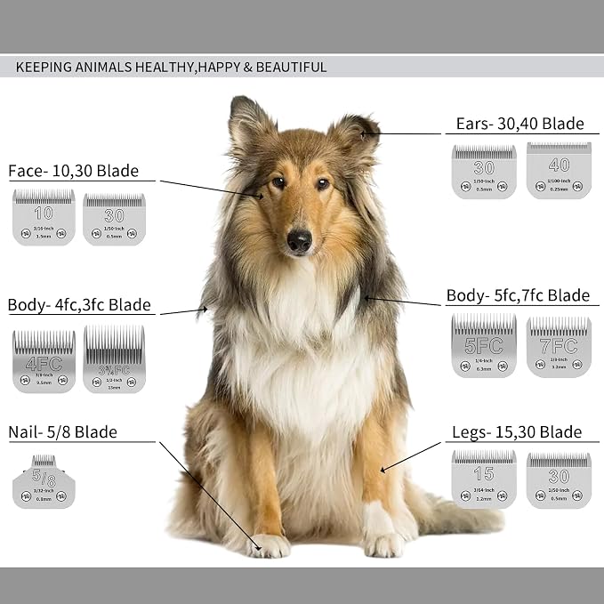 Dog Grooming Blade kit,Compatible with Andis/Oster A5,Wahl KM10 | Stainless Steel Blade,Include Size 40+10+30+15+7FC+5FC+4FC+3FC+5/8HT+3/4HT+T84+T10+5/8N Toe Blade,13 Pack