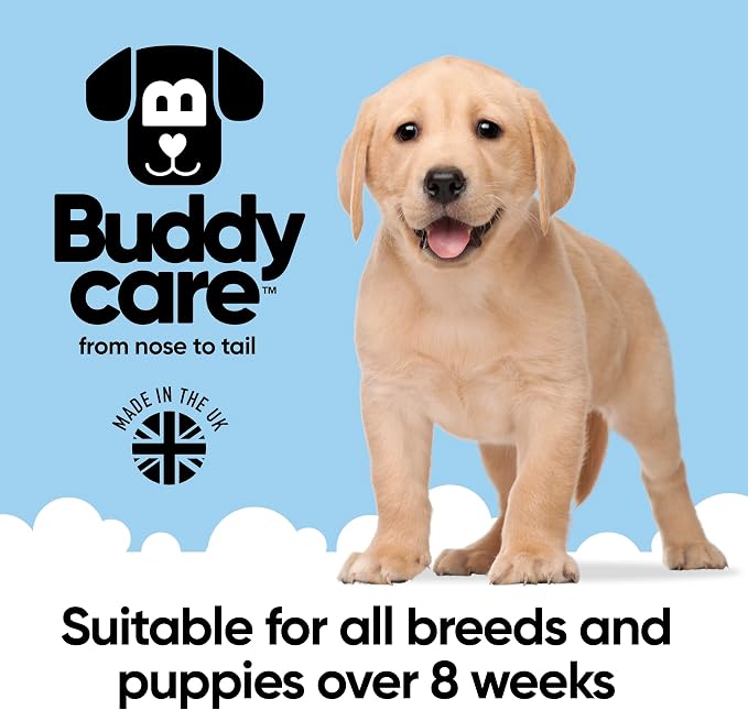 Derma Sensitive Dog Shampoo by Buddycare | Dry Skin & Itchy Skin Relief for Smelly Dogs | Deep Cleansing for Dogs Puppy Sensitive Skin | Dog Shampoo & Conditioner | with Aloe & Vitamin B5 (16.90oz)