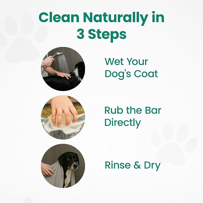 Project Sudz Dog Shampoo and Conditioner Bar with Hemp Seed Oil | Organic Dog Shampoo for Allergies and Itching | All Natural Bar Shampoo and Conditioner (1)