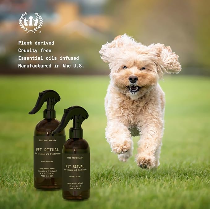 Muse Apothecary Pet Ritual Pet Cologne Spray for Dogs - Dog Perfume Spray Long Lasting After Bath - Pet Perfume for Dogs - Essential Oils Infused - 4oz, Lavender Fields