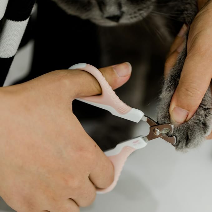 Mr. Pen- Cat Nail Clipper, Stainless Steel | Professional Sharp Cat Claw Trimmer for Small and Medium Cats, Pet Nail Clipper with Sturdy Non Slip Handle