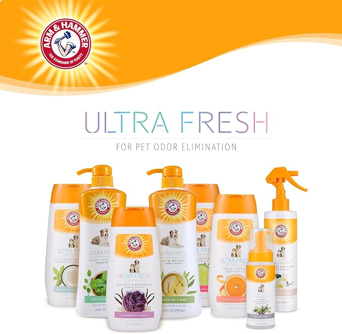 Arm & Hammer Ultra Fresh Charcoal Dog Shampoo with Rosemary Deep Cleansing Odor Control Baking Soda Deodorizing Pet Shampoo Pump Bottle Eucalyptus Mint Scent 24 FL OZ Single Bottle Dog Grooming