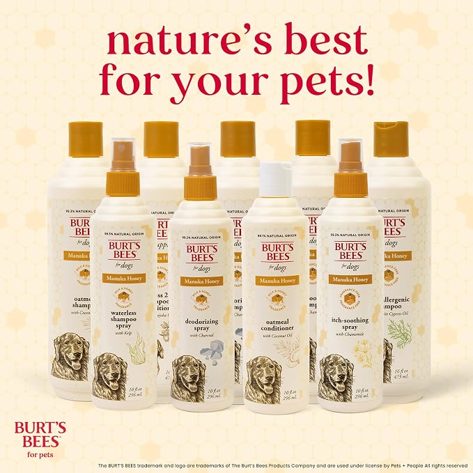 BURT'S BEES FOR PETS Itch Relief Shampoo for Dogs, Manuka Honey & Chamomile, Soothes Itchy Skin, pH Balanced for Dogs & Puppies, Will Not Wash Off Flea Treatments, Fragrance-Free, 16 Fl Oz