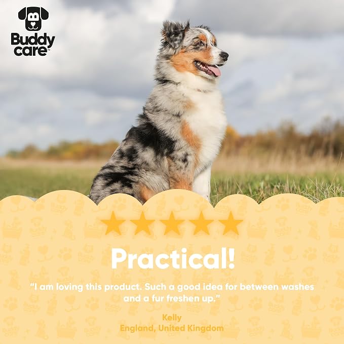 Moisturising Itch Relief Waterless Dog Shampoo by Buddycare
