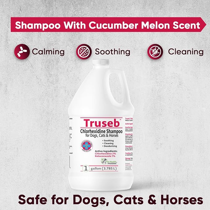 Truseb Chlorhexidine Shampoo for Dogs Cats & Horses with Aloe Vera - Antibacterial Antifungal Medicated Dog ketoconazole Shampoo and Conditioner -Skin Irritation, Hot Spots, Redness Relief (1 Gallon)
