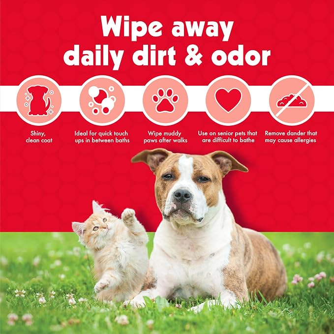 Petkin Pet Wipes for Dogs and Cats - 400 Large Wipes - Removes Dirt & Odor - Cleans Ears, Face, Butt, Eye Area - Convenient for Home or Travel - 4 Packs