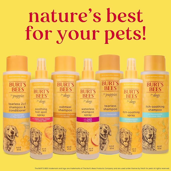 Burt's Bees for Pets Anti Itch Dog Spray with Honeysuckle and Honey, Waterless Grooming Mist for Dry Flaky Skin, Dog Itch Relief Between Baths, Natural Origin Coat Care for Dogs, 10 Fl Oz