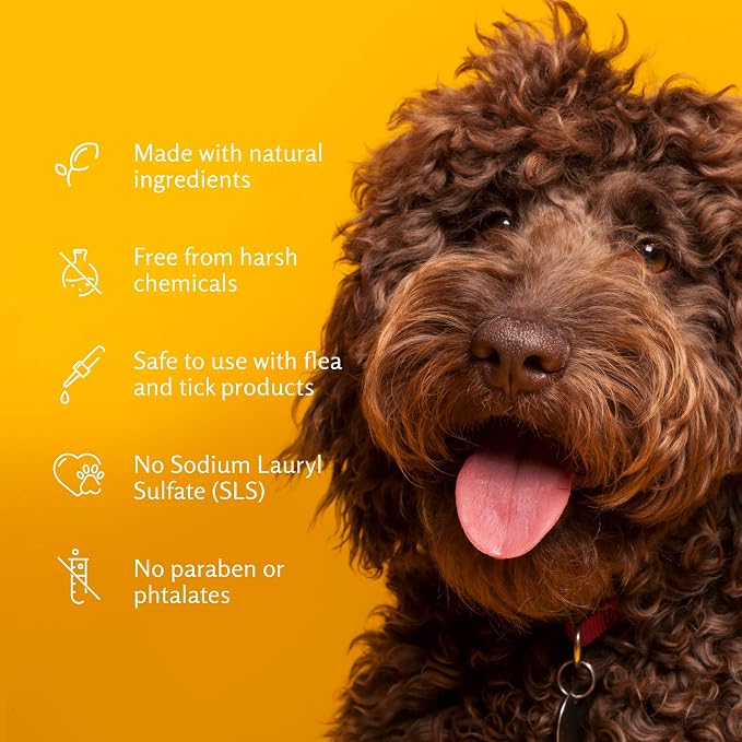 Arm & Hammer Deodorizing Dog Shampoo Baking Soda Odor Control Tearless Moisturizing Sensitive Skin Fresh Kiwi Blossom Scent Safe Dogs and Puppies 20 FL OZ 6 Pack Dogs Puppies Eight Weeks Older