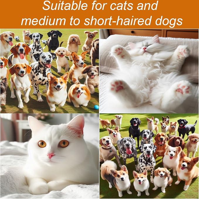 300W Quiet Pet Blow Dryer - Pet Hair Dryer for Small & Medium Dogs and Cats with Removal Comb & Silicone Bath Massage Brush for Home Grooming -Mist/Spray/Steam Brush for Cat & Dog