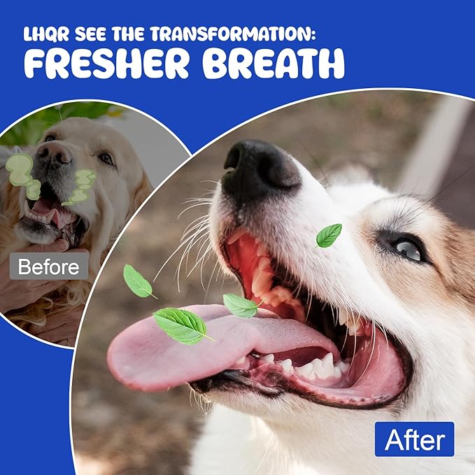 Dog Dental Powder for Fresher Breath - Dog Teeth Cleaning Powder Natural Plaque & Tartar Support with Probiotics & Enzymes lab co, Oral Care Supplement for Pet 160g