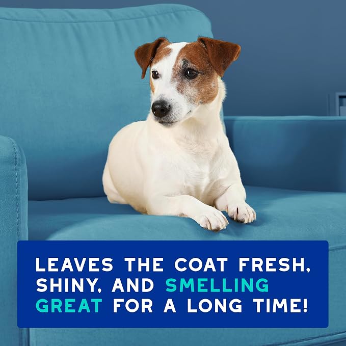 DOUXO SPA Dog Deodorizing Spray, 11.5 fl oz, Neutralizes Unpleasant Odors Between Baths, Leaves the Coat Fresh, Smelling Great, Skin-Friendly Ultra-Freshening Formula