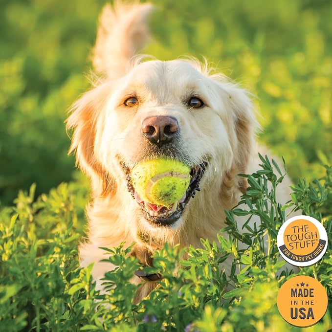 Nilodor SKUNKED Deodorizing Dog Shampoo, 1 Gallon - Powerful Odor Relief with Essential Oils, Mild & Non-Irritating, Deep-Clean Formula for Dogs