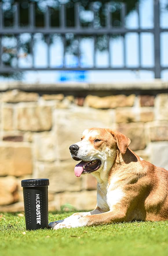 Dexas MudBuster Large Dog Paw Cleaner, Matte Black, Fits 2.5"-3.5" Wide Paws, Gentle Silicone Bristles for Quick, Easy Cleaning (Pack of 6)