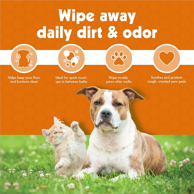 Petkin Big N' Thick Paw Wipes for Dogs, 100 Large Wipes (4 Pack) - Clean Dirty Paws After Walks, with Paw Balm Protectant - Keep Floors and Furniture Clean - Ideal for Home or Travel - Orange Scent