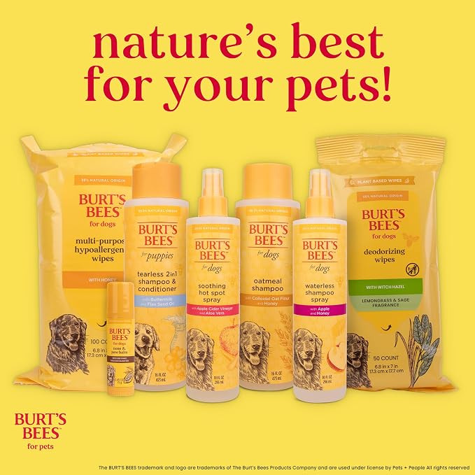 Burt's Bees for Pets Dog Detangling Spray, Natural Leave-In Coat Detangler & Dog Deodorizing Grooming Spray with Lemon, pH Balanced for Dogs, Paraben & Sulfate Free, 10 Fl Oz - 6 Pack