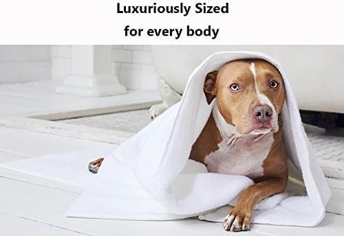 Feather & Stitch 100% Cotton 625 GSM Bath Towel Set of 6, Ultra Soft Highly Absorbent 2 Bath Towels, 2 Hand Towels & 2 Washcloth - Luxury Quick Dry Shower Towels (Grey)