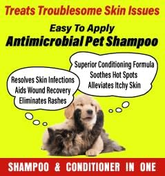 Medicated Shampoo--Soap-Free --Incredible Marine Collagen—Pet skin Yeast Infections, Ringworm, Rain Rot, Horse Scratches, Dermatitis, Itchy Skin