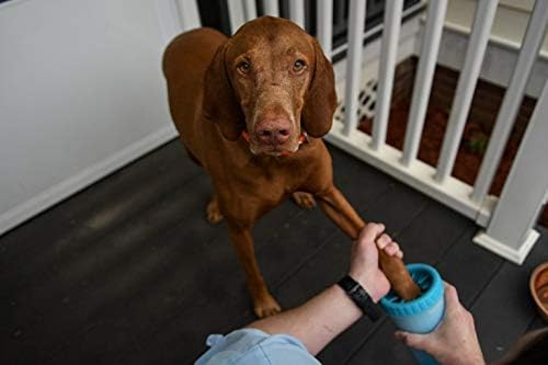 Dexas MudBuster Medium Dog Paw Cleaner, Blue, Fits 1.5"-2.5" Wide Paws, Gentle Silicone Bristles for Quick, Easy Cleaning (Pack of 6)