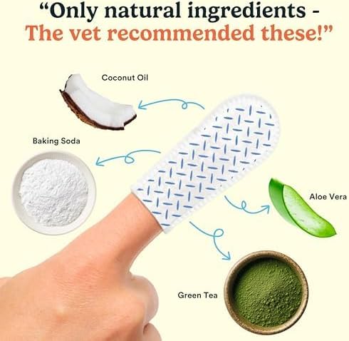 Jasper Dog Dental Wipes, Vet-Recommended Natural Cat & Dog Teeth Cleaning Wipes Dog Teeth Cleaner, Disposable Wipes Fresh Breath PlaqLift Technology Attacks Plaque and Buildup, Unscented, 60 Count