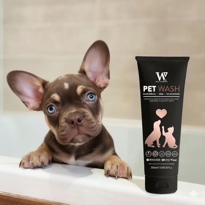 Watermans Cat & Dog Shampoo Wash - Antifungal, Natural & Antibacterial Head-to-Tail Wash - Bubble Grooming for Smelly, Itchy Skin, Dandruff & Pet Allergies - Paraben-Free & Deodorizing