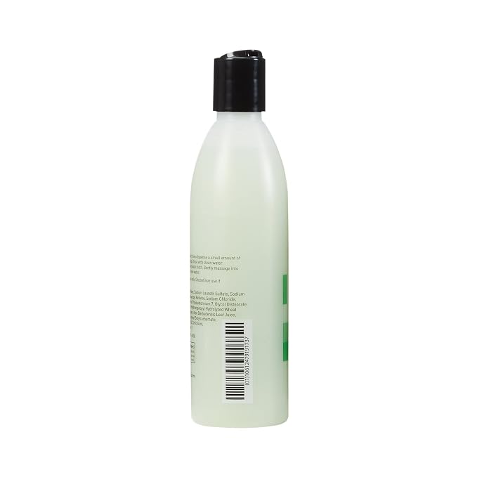 McKesson Body Wash and Shampoo with Aloe, Cucumber Melon Scent, 8 oz, 1 Count