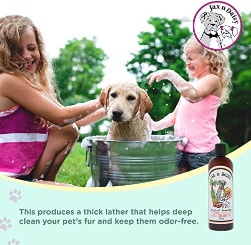 Jax N Daisy Dog Shampoo | Delightful Tropical Pawadise Coconut Pineapple Dog Shampoo for Puppy & Adult Dogs | Made with Natural Essential Oils | Eliminates Odor from Smelly Dogs | 16 Oz