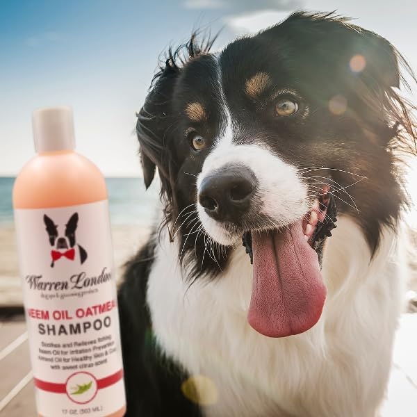 Warren London Neem Oil with Oatmeal Dog Shampoo - Hypoallergenic, Moisturizing & Itch Relief Formula - Gentle on Skin & Coat - Made in USA - 1 Gallon