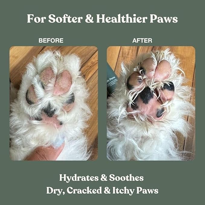 Dog Paw Balm, Soft Paws, Paw Moisturizer for Dogs with Brush, 0.6 fl oz | Dandylion Dog Lotion for Paws, Fragrance Free, pH Balanced, Lightweight Moisture for Dry Cracked Paw Pads and Nose