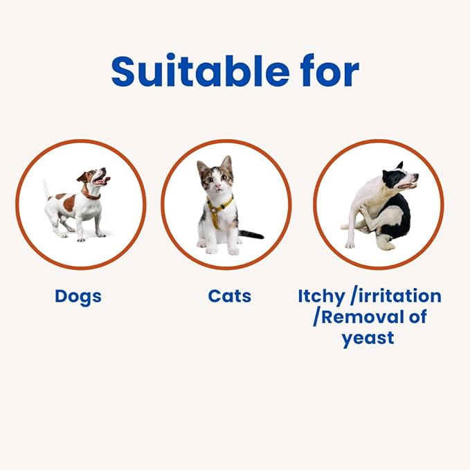 Waterless No Rinse Dog Dry Shampoo Cooling Effect for Smelly Dogs. Suitable Cat Shampoo for Dandruff. Good for Itch. Developed with Vet in Singapore-Minty Fresh-6.8 fl oz