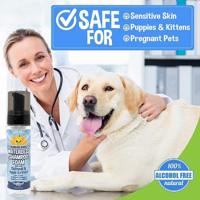 Bodhi Dog Waterless Foaming Shampoo - Dry Shampoo for Bathless Cleaning, No Rinse Required - Natural, Gentle Cleaner for Sensitive Skin - Made in USA (8 Fl Oz)