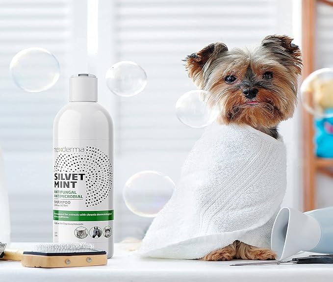 NEXDERMA Natural Colloidal Medicated Pet Shampoo for Dogs and Cats - Tearless Hypoallergenic, Soap Free with Coconut Oil and Mint, Relief for Allergies, Odor, Itchy, Dry, Irritated Skin - 16oz, 1Pack