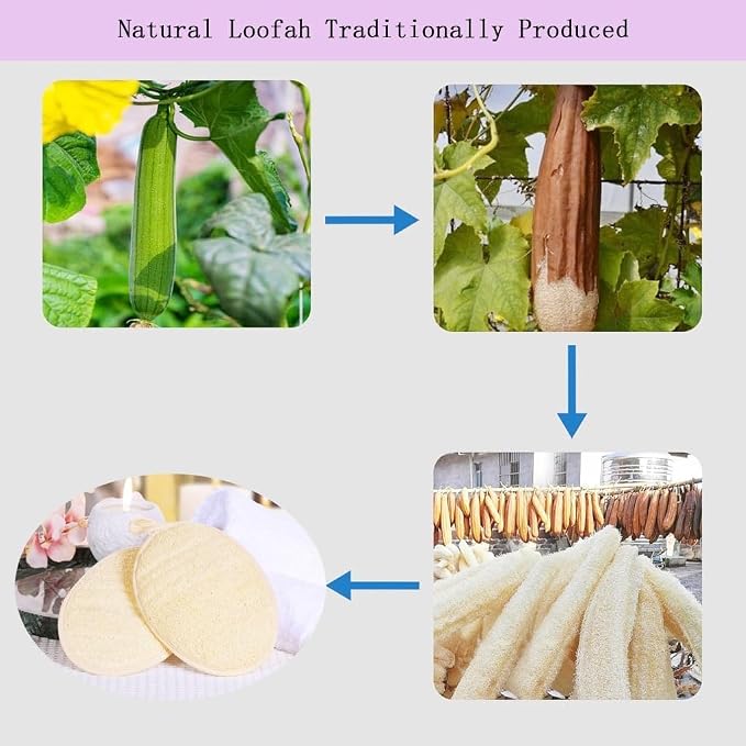 Natural Loofah Body Scrubber Sponge,3 Pack | Body Scrubber,Exfoliator,Bath Sponge,Biodegradable,with Hanging Loop,Gentle Cleanser for Face & Body,for Women and Men