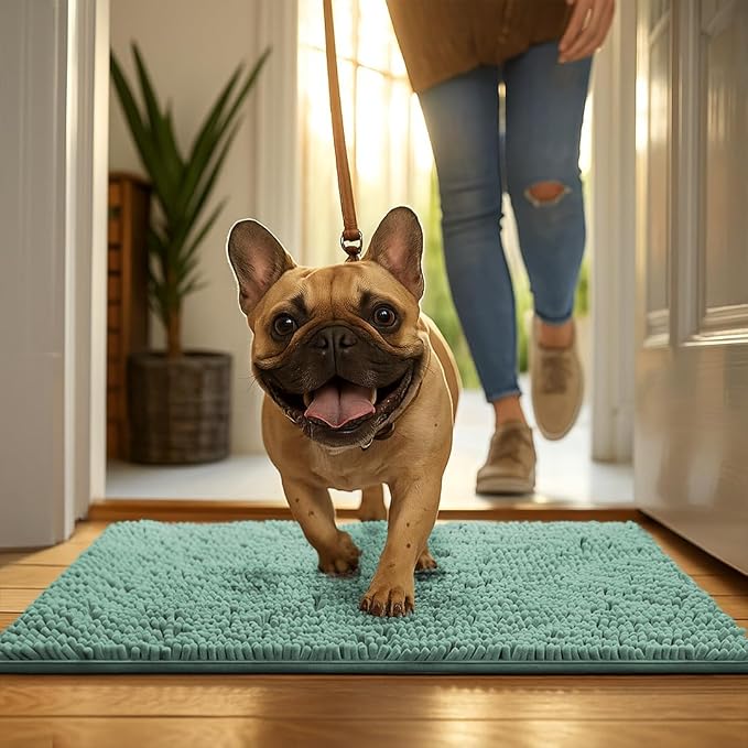 MUDGUARD MAT® Dog Door Mat for Muddy Paws, Super Absorbent Microfiber, Non-Slip Indoor Mat, Quick-Dry Chenille Rug for Pets & Entryway, Machine Washable, Sea Green 19" x 30"
