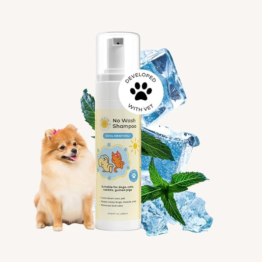 Waterless No Rinse Dog Dry Shampoo Cooling Effect for Smelly Dogs. Suitable Cat Shampoo for Dandruff. Good for Itch. Developed with Vet in Singapore-Minty Fresh-6.8 fl oz