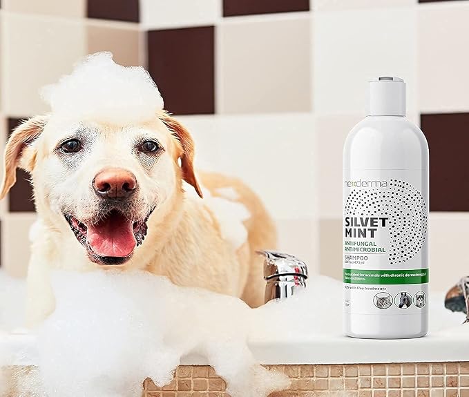 NEXDERMA Natural Colloidal Medicated Pet Shampoo for Dogs and Cats - Tearless Hypoallergenic, Soap Free with Coconut Oil and Mint, Relief for Allergies, Odor, Itchy, Dry, Irritated Skin - 16oz, 1Pack