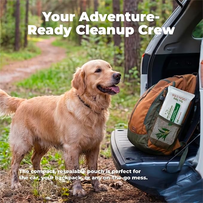 Best Pet Supplies 8" x 9" Large Dog Wipes - Cleaning and Deodorizing for Paws and Coat - Gentle Formula with Tea Tree Vitamin E for Puppies and Cats - 100 Count